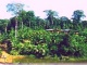 Laguna del Lagarto