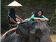 Tiger Trail Outdoor Adventures
