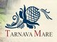 Tarnava Mare