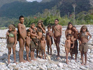 Uncontacted tribes in Manu National Park are now safe from Pluspetrol's gas exploration, but the Nanti continue to be threatened by the expansion of Camisea. (c) Survival