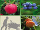 Farming Around the Country (Book) Farming Around the Country (Book)