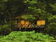 Vythiri Resort