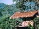 TreeTops Jungle Lodge
