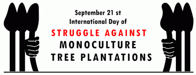 International Day Against Monoculture Tree Plantations