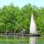 img_1266523848_774