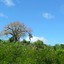 img_1266523843_433