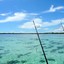 img_1266525202_760