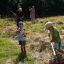 Ecotourism and Biodiversity Conservation