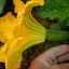 Crete's Culinary Sanctuaries