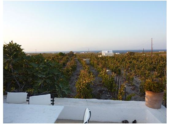 Domaine Sigalas