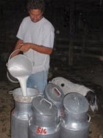 Rise & Shine, and help with the cows