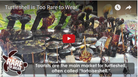 Too Rare To Wear