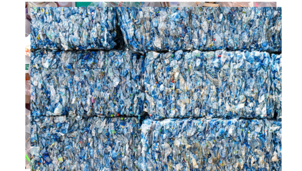 Biological recycling process for waste PET plastic
