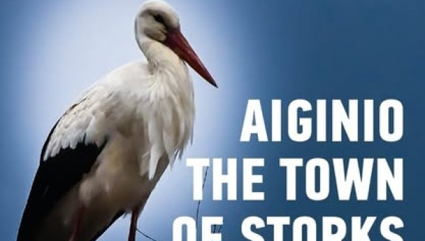 Greece: New Birdwatching brochure in Aiginio