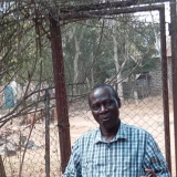 Remigius Mushenga