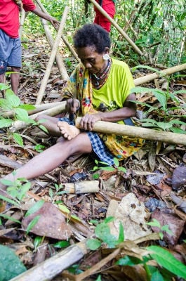 Preserving the culture of Malaysia's Batek people through ...