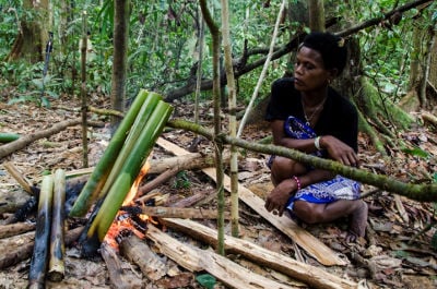 Batek woman cooking with bamboo. Photo by Toby Holbeche.