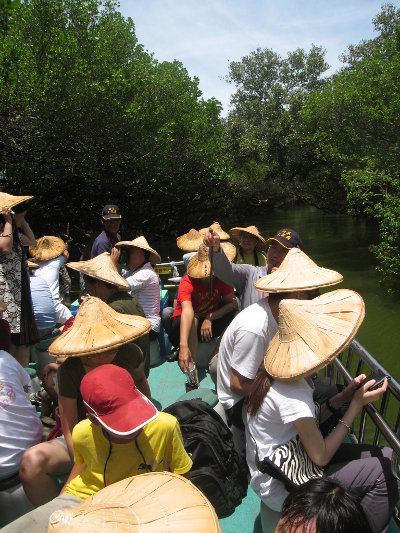 The Sicao Mangrove Green Tunnel - Photo by Pina Wu