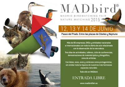 Madbird Fair 2015 (Madrid, Spain)