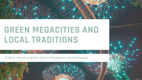 Between green megacities, learnings about sustainability and local traditions