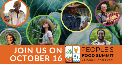 Peoples Food Summit - Regeneration International