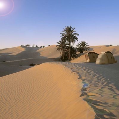 At the Oasis