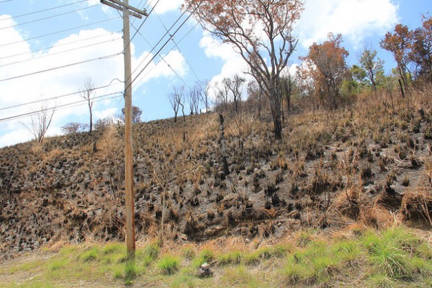 The aftermath of a bushfire in southern St. Vincent. Credit: Kenton X. Chance/IPS