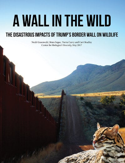 Border wall threatens endangered wildlife