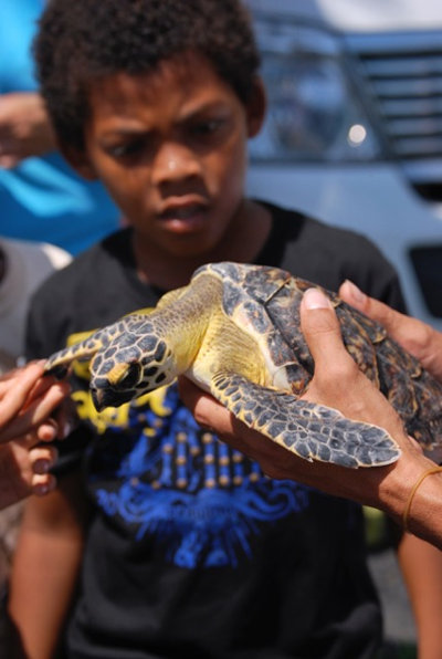 Educating the young generation about the critically endangered hawksbill turtle (Photo by Brad Nahill/SEE Turtles)