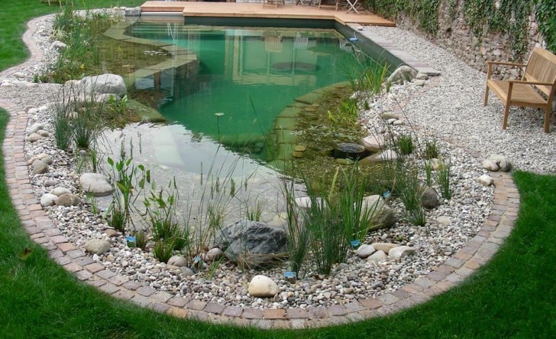 BioNova Natural Pool