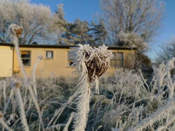 Morning frost outside TRAFFIC International HQ in Cambridge, UK - Photo by Richard Thomas