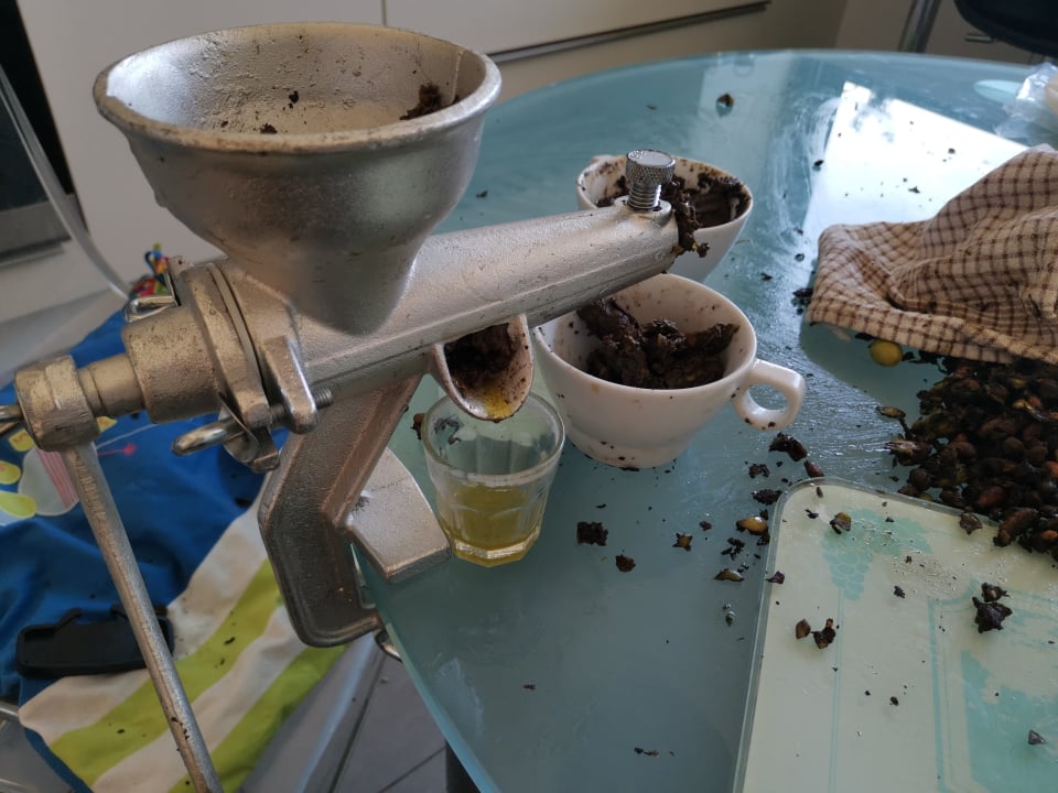 Making your own olive oil, from the field to the plate, is an exhausting but satisfying experience. After exercising in the open air, a sturdy manual press will help you exercise in the kitchen as well. If you have set the press well and it does not fall on your foot, you will have plenty of time for nice philosophical thoughts about the (great) value, the (relatively small) price, and the economic, social and cultural importance of olive oil through the centuries.