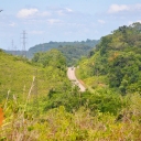 Stream Photos