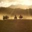 Yak Polo in Northern Chitral
