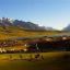 Polo At The Peak--Shandur