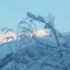 A scene of prestine snow in Booni village