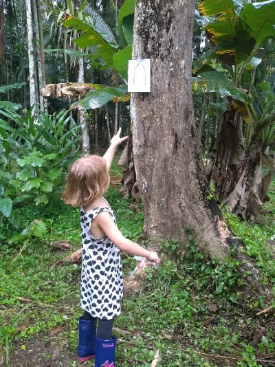 4.10 - Our Fairy Trail is a real hit with parents and children alike. We have ‘hidden’ fairy doors along a short woodland trail which children love to explore.