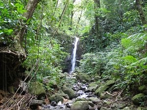3 Rivers Dominica