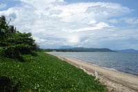 daintree-beach