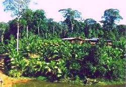 La Laguna del Lagarto Lodge