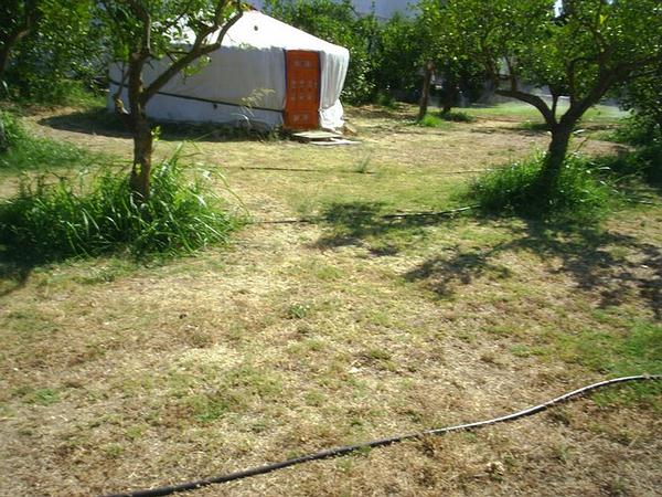 1c - Mongolian Yurt