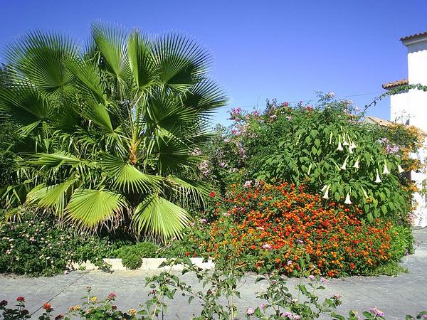 1i - View of front garden