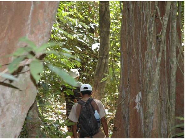 5e - Activities at the Lodge, Forest trekking.